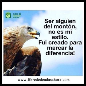 Meet your Posher, Hector